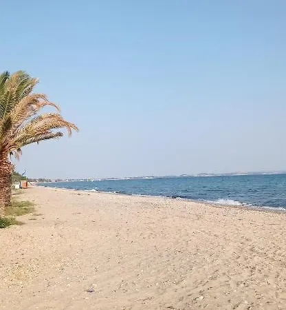 Sand House